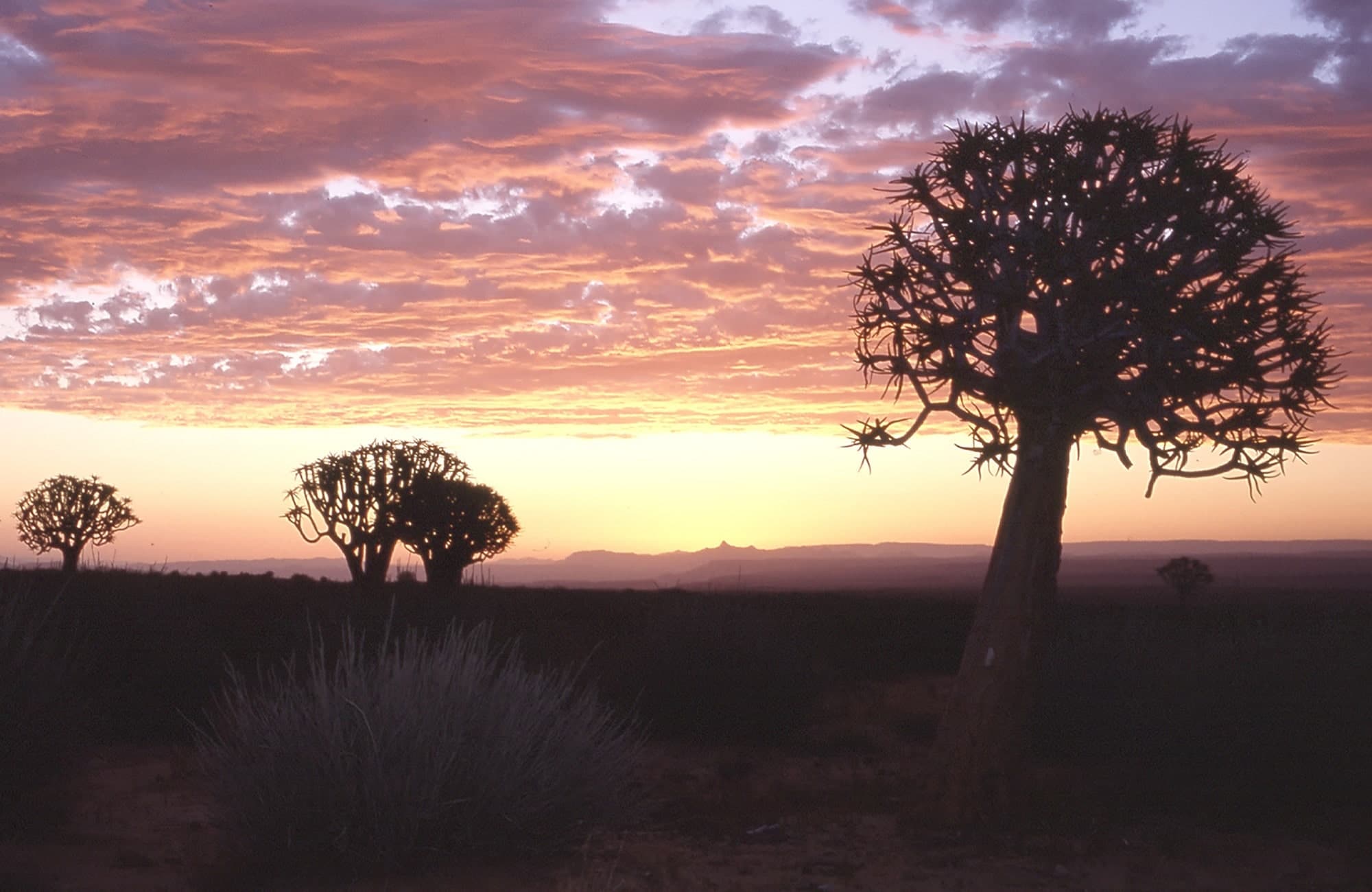 Fish River Canyon Experience (3)